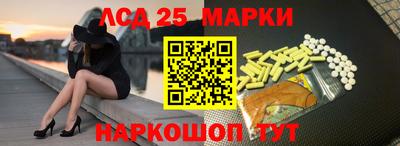 гидропоника Камышлов