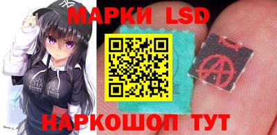 apvp Канаш