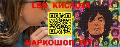apvp Канаш