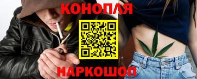гидропоника Камышлов